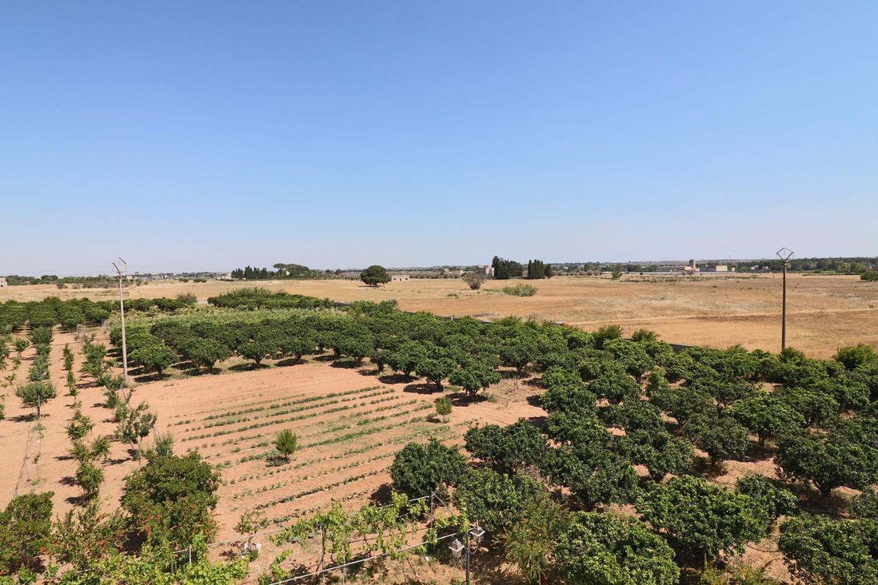 Tenuta degli Agrumi Carmiano  Esterno foto